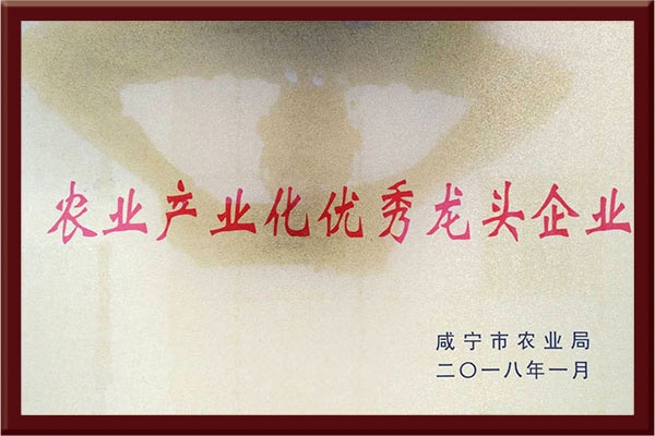 農(nóng)業(yè)產(chǎn)業(yè)化優(yōu)秀龍頭企業(yè)