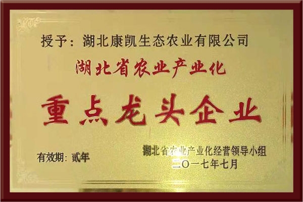 省重點(diǎn)龍頭企業(yè)